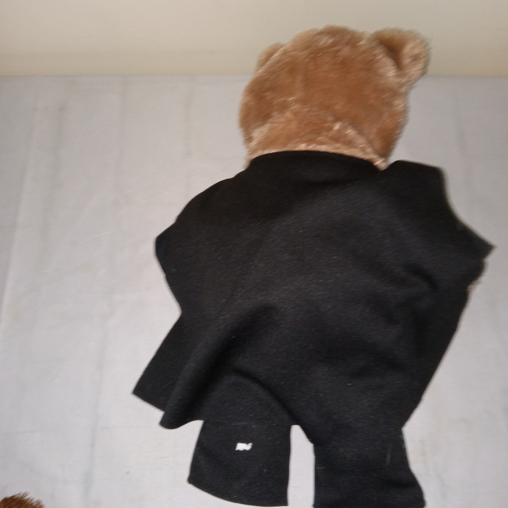 Build A Bear Teddy Bear - Picture 5 of 5